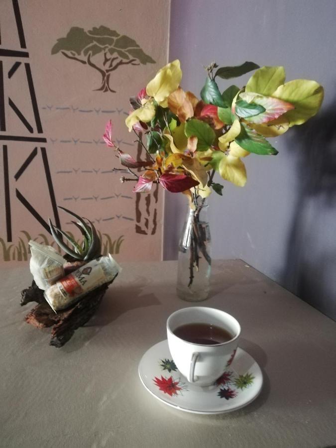 Ashtree Guesthouse Hanover Road Dış mekan fotoğraf