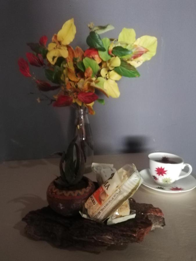Ashtree Guesthouse Hanover Road Dış mekan fotoğraf