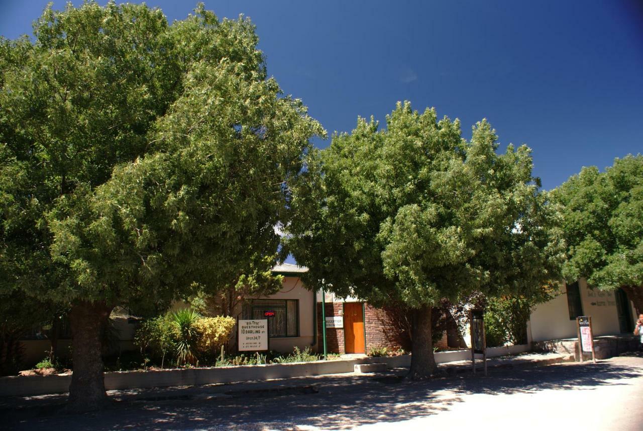 Ashtree Guesthouse Hanover Road Dış mekan fotoğraf